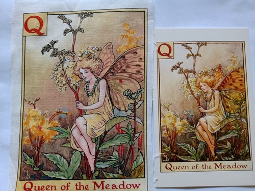 Queen the meadow alphabet - queen, of