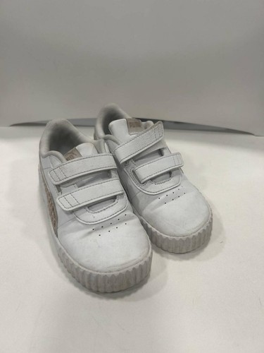 Puma carina animal - carina,
