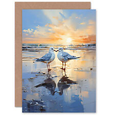 Seagull Bird Couple Beach