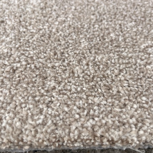Full roll hazel beige carpet - full,