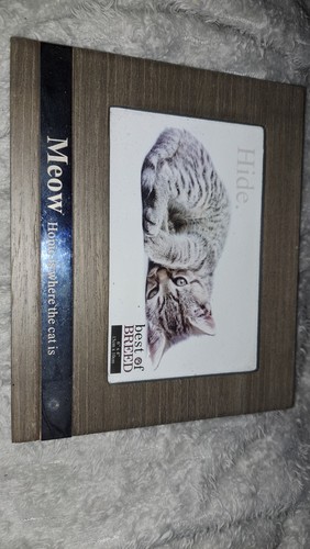 Love cat photo - i,