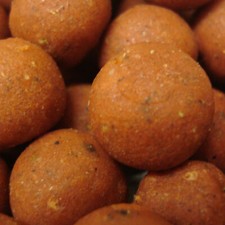Tange squid boilie - tange,
