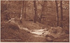 POSTCARD - WALES - DOLGELLY -