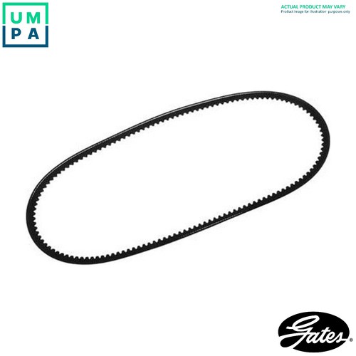 Vbelt 6491exl - vbelt,