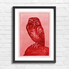 Vintage Illustration of an Owl