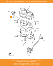 YAMAHA Screw, Special