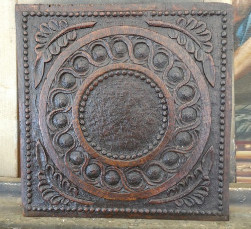 Panel naturalistic carved - naturalistic,