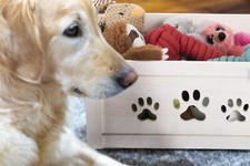 White Pet Wooden Storage