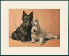 SCOTTISH AND WESTIE WEST