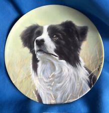 Border collie Plate "Yours Fathfully"