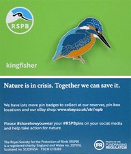 Rspb pin badge - badge, kingfisher