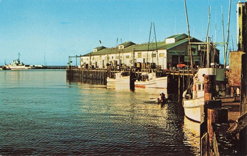 Postcard california monterey - california,