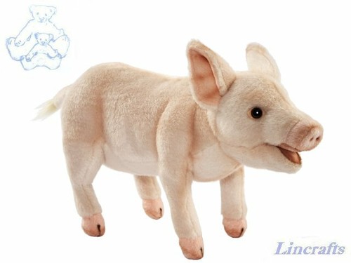 Hansa piglet 6290 plush - piglet, soft