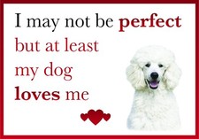 Funny My Dog Loves Me WHITE