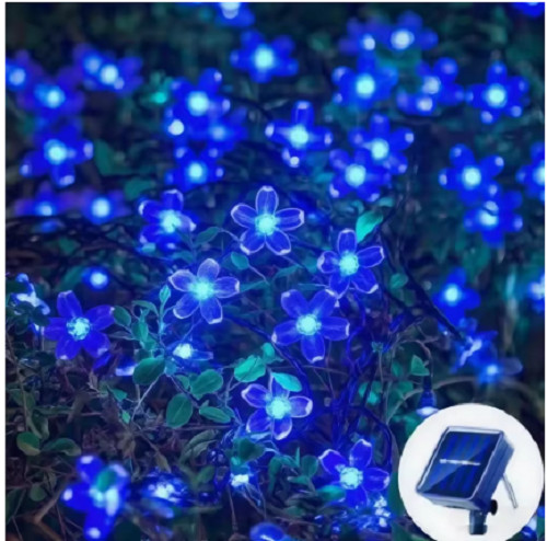 Solar cherry garden blossom - solar,