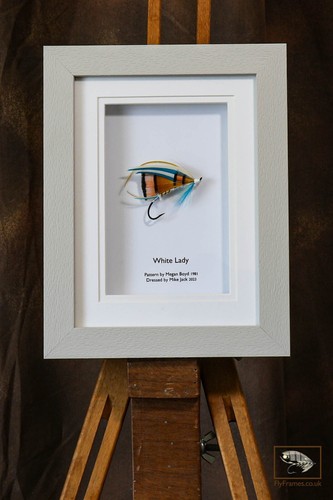 Framed classic salmon fly - framed,