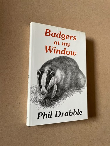 Badgers window by - badgers, at