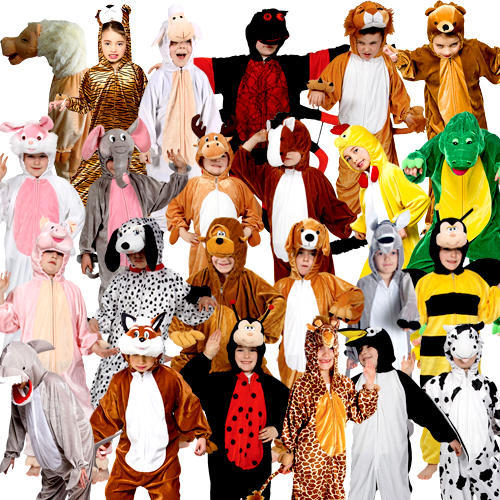Storybook animal kids - storybook,