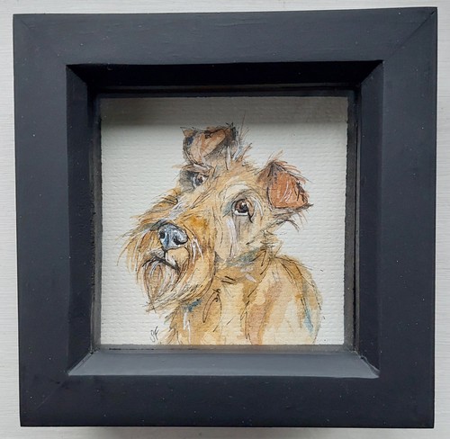 Irish terrier original - terrier',