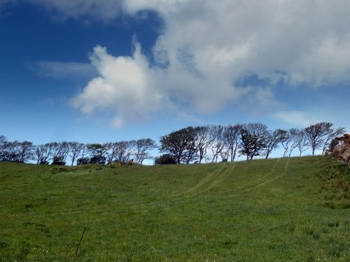 Photo rassakeran co mayo - co,