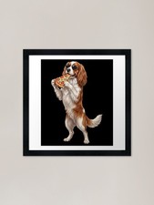 Funny Cavalier King Charles