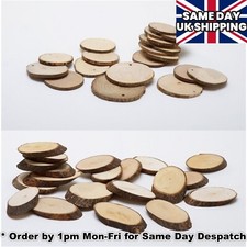 Birch Wooden Wood Log Slices