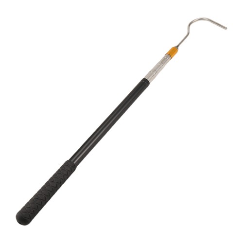 61inch snake hook reptile - snake,