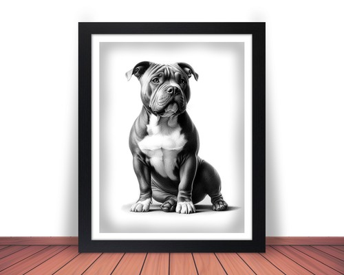 Framed american bully dog - american,