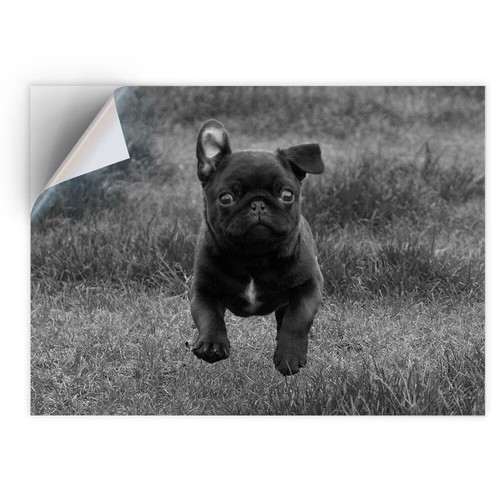 Vinyl sticker bw - -,