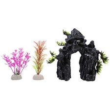  2 Count Bearded Dragon