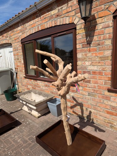 Parrot stand kiln - stand,