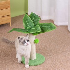 Cat Scratching Post 12.6in