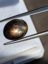 5.35ct Star Sapphire 10x8
