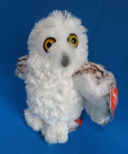 Snowy owl wild - owl, bird