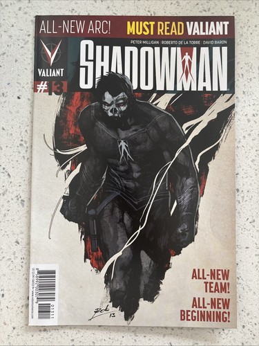 Shadowman valiant comics - valiant,