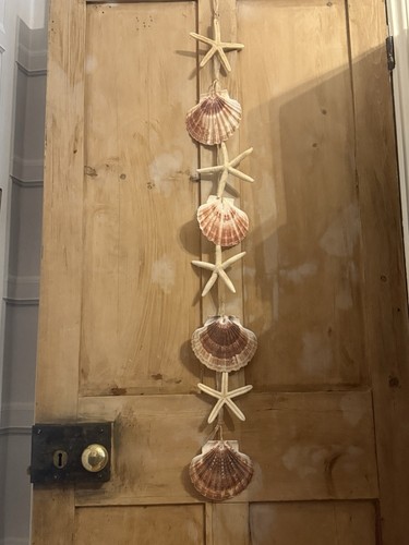 Coastal garland starfish - garland, &
