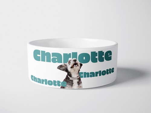 Personalised ceramic dog bowl - personalised,