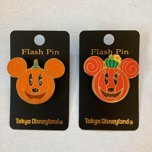 Tokyo disneyland flash - tokyo,