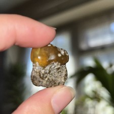 Antique Baltic Genuine Amber Polished Gem Stone Natur Bernstein,  2.59  g