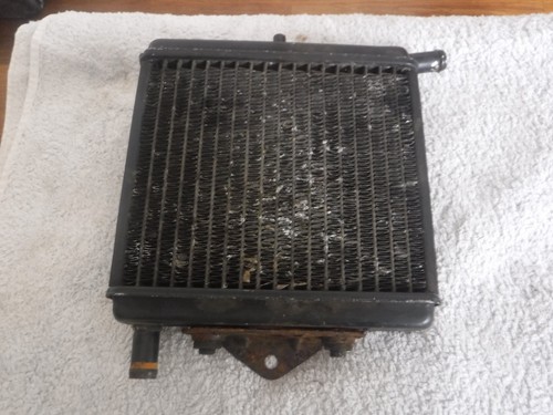 Aprilia rs50 engine cooling - aprilia,