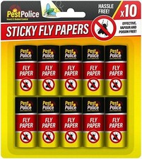 Fly flies insect catcher - insect,