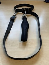 Dog Collar and Lead Reflective