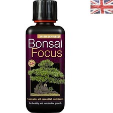 Bonsai focus feed 300ml - focus,