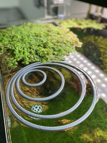 225mm aquarium floating - 50-225mm,