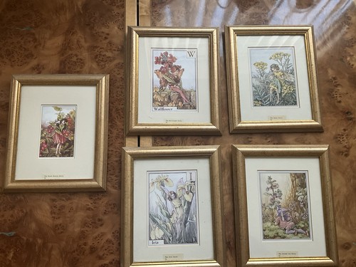 Beautiful cicely mary - barker,