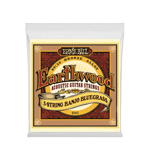Ernie ball earthwood string - ball,
