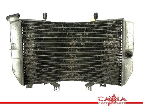 Radiator suzuki gsx - radiator,
