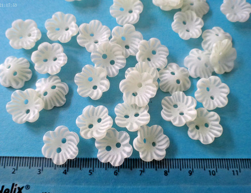Ivory daisy flower buttons - ivory,