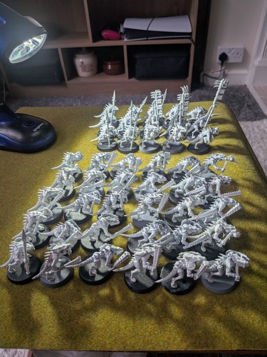 Saurus warriors lightly - 45,