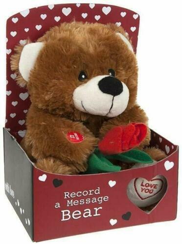 Plush bear gift record - record, a